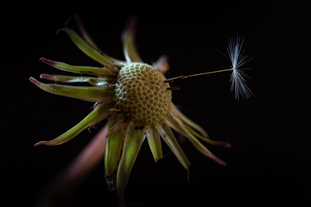 Platz 12 Michael Mayer